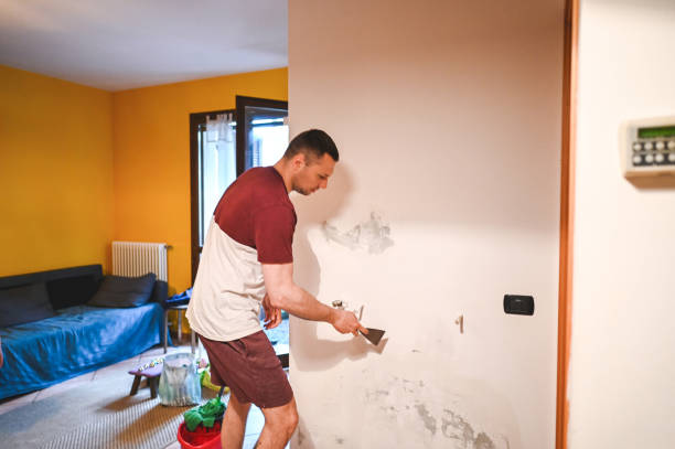 Best Affordable Mold Removal  in Folkston, GA